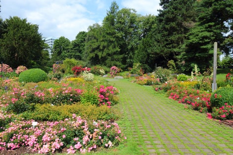 photo of view of Dortmund - city in Ruhrgebiet (Ruhr Metropolitan Region) in Germany. Rose garden in Westfalenpark.,Dortmund Germany.