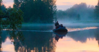 Wolves, Moose and Beavers in the Forests of Central Sweden