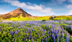 Hotels & places to stay in Southern Region, Iceland