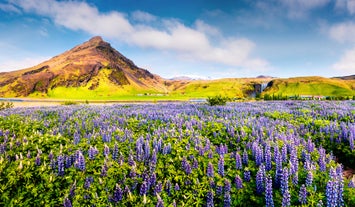 Panoramic view of Reykjavik, the capital city of Iceland, with the view of harbor and mount Esja.