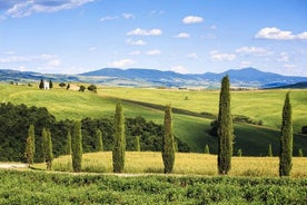 Excursion à Livourne: visite privée de Bolgheri et Supertuscan