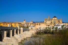 Córdoba Mosque, Jewish Quarter and Alcázar 3-Hour Tour