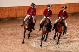 Morgen der Reitkunst mit Lusitano-Pferden in Lissabon