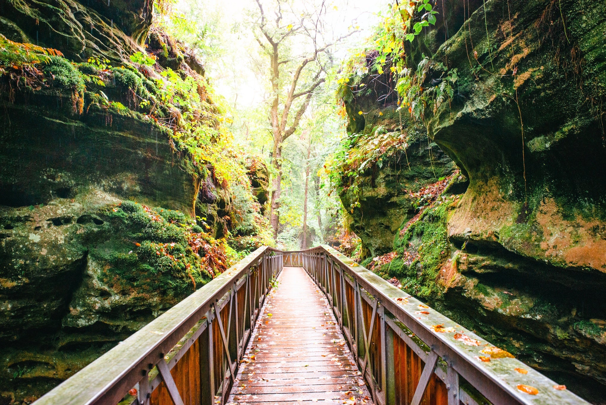 Mullerthal trail in Luxembourg between Echternach and Berdorf.jpg