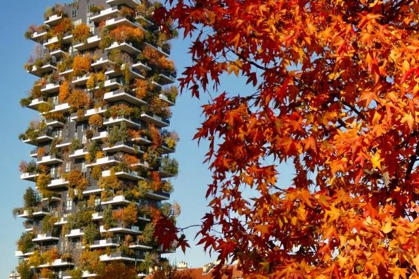 Bosco Verticale in Milan during autumn, with its vertical forest showing shades of orange, yellow, and green.jpg