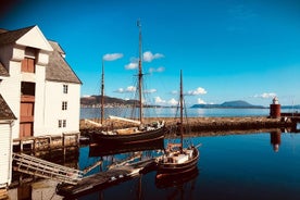 Ålesund Alnes Godøya tour tot 15 personen