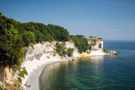 Acceso rápido a Stevns Klint por la UNESCO: excursión de un día a Copenhague en coche