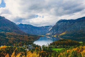 Privat Bohinj & Vogel Tour från Bled