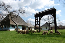 Best of Székely Lands Natur og Kultur Full Dagstur fra Brasov