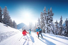 From İstanbul: Bursa Uludağ Mountain Tour & Cable Car Ride