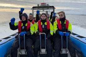 Osservazione delle balene - Avventura in gommone a Kopavogur, Islanda