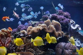 Sea Life Speyer Ticket