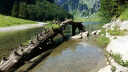 Coches de lujo de alquiler en raíz, en Suiza