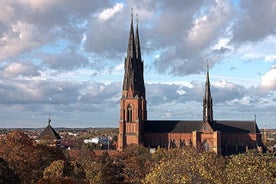 Privat dagstur till Uppsala - Uppsala domkyrka, Viking Burials och landsbygden