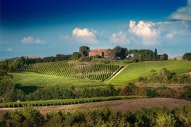 Montalcino: Visita guidata in cantina e degustazione di vini toscani