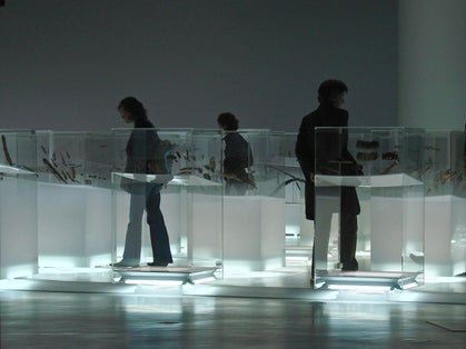 The Arctic (2009).