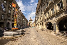 Punti salienti di Berna Tour a piedi per piccoli gruppi con un locale