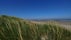 Hondenstrand, Lombardsijde, Middelkerke, Ostend, West Flanders, Flanders, Belgium