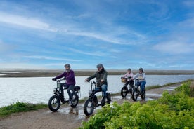 Retro E-Bike Hire Experience exploring the New Forest coastline