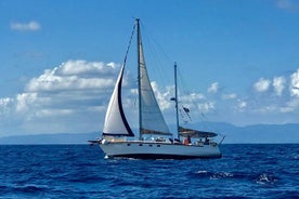 Daily Boat Trip in Skiathos & Skopelos with main lunch & more 