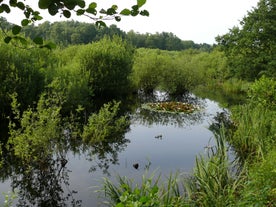 Eppendorfer Moor