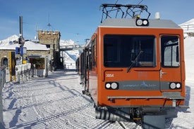 Zermatt et Cervin exclusifs : visite en petit groupe au départ de Bâle