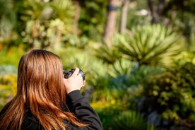 Visite photographique à pied des jardins botaniques d'Alameda à Gibraltar