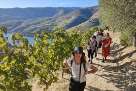 Douro Valley Premium Tours - Motorista Privado e Guia