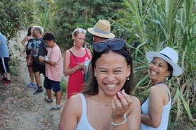 Guided Tour to the only coffee farm in Europe