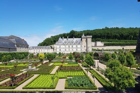 Giornata nella Valle della Loira da Amboise: Azay le Rideau, Villandry, azienda vinicola