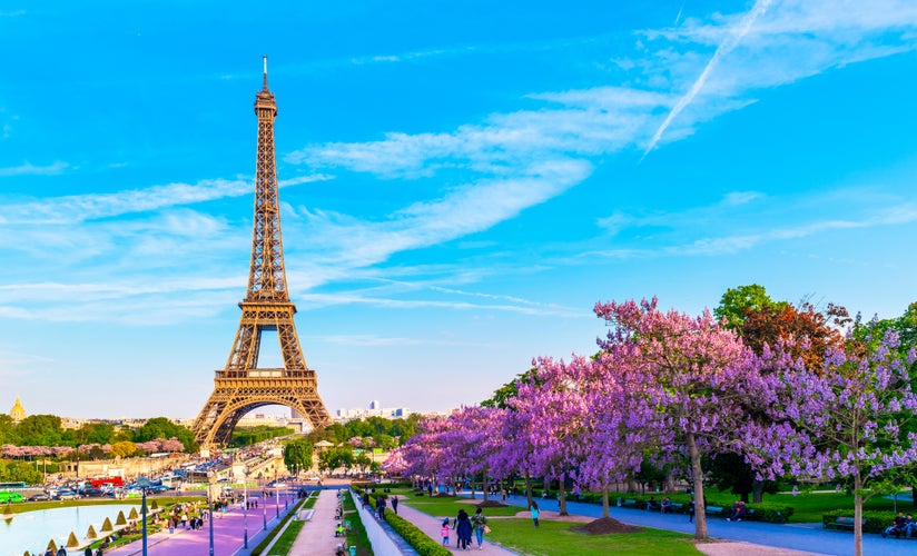 Eiffel Tower with Magnolia flowers. Spring view on Paris, France.jpg