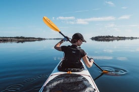 4-dagers kajakk og viltkamp i sverige - selvstyrt