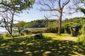 Broomhill Barns