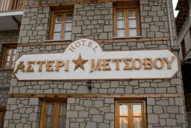 Hotel Asteri Metsovo