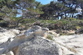 Tour dell'isola di Sithonia di un'intera giornata da Nikiti con picnic