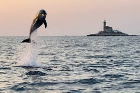 Rovinj Private Dolphins at Sunset &Island Swimming with Speedboat