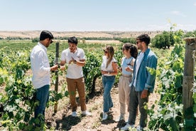 City tour em Toledo, experiência em vinícola e degustação de vinhos saindo de Madri