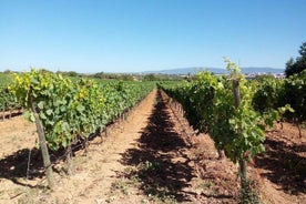 Strada privata dei vini dell'Algarve