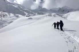 巴统雪地冒险：探索格鲁吉亚的冬季仙境