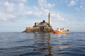 Tour del faro di Fastnet Rock e dell'isola di Cape Clear da Schull West Cork