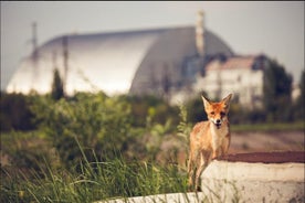 Visite de groupe d'une journée dans la zone d'exclusion de Tchernobyl