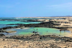 Stærsta EINKARI einkaferð til norðurs á Fuerteventura, 8 pax