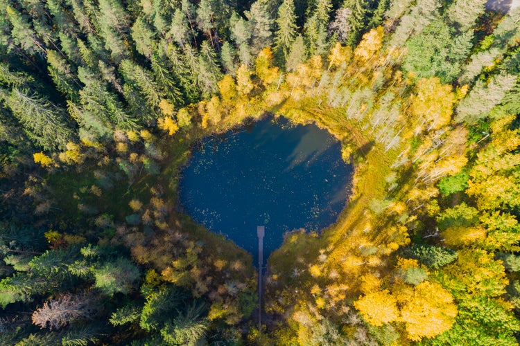 Aerial view of small forest lake Haransilma in Lahti, Finland. The diameter of lake is about 50 meters.