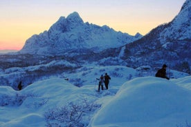 Svolvaer: Half-Day Guided Snowshoeing Tour