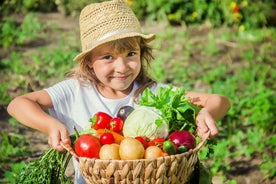 Amalfi: Cooking Class and Farmhouse Visit With Meal