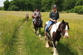 Passeio de aventura a cavalo pela paisagem de Brasov