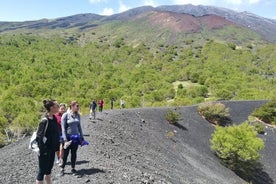 Etna-vuoren puolen päivän kierros - Pienet ryhmät Taorminasta