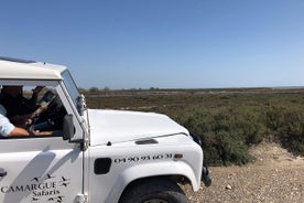 Safari 4x4 Camargue 4h - Privat rundtur - Avgång från Arles