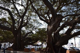 Walking Tour through Cádiz: Stories from the hand of a local guide