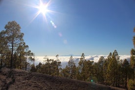 Heldagsvandring på Gran Canarias toppe på Gran Canaria